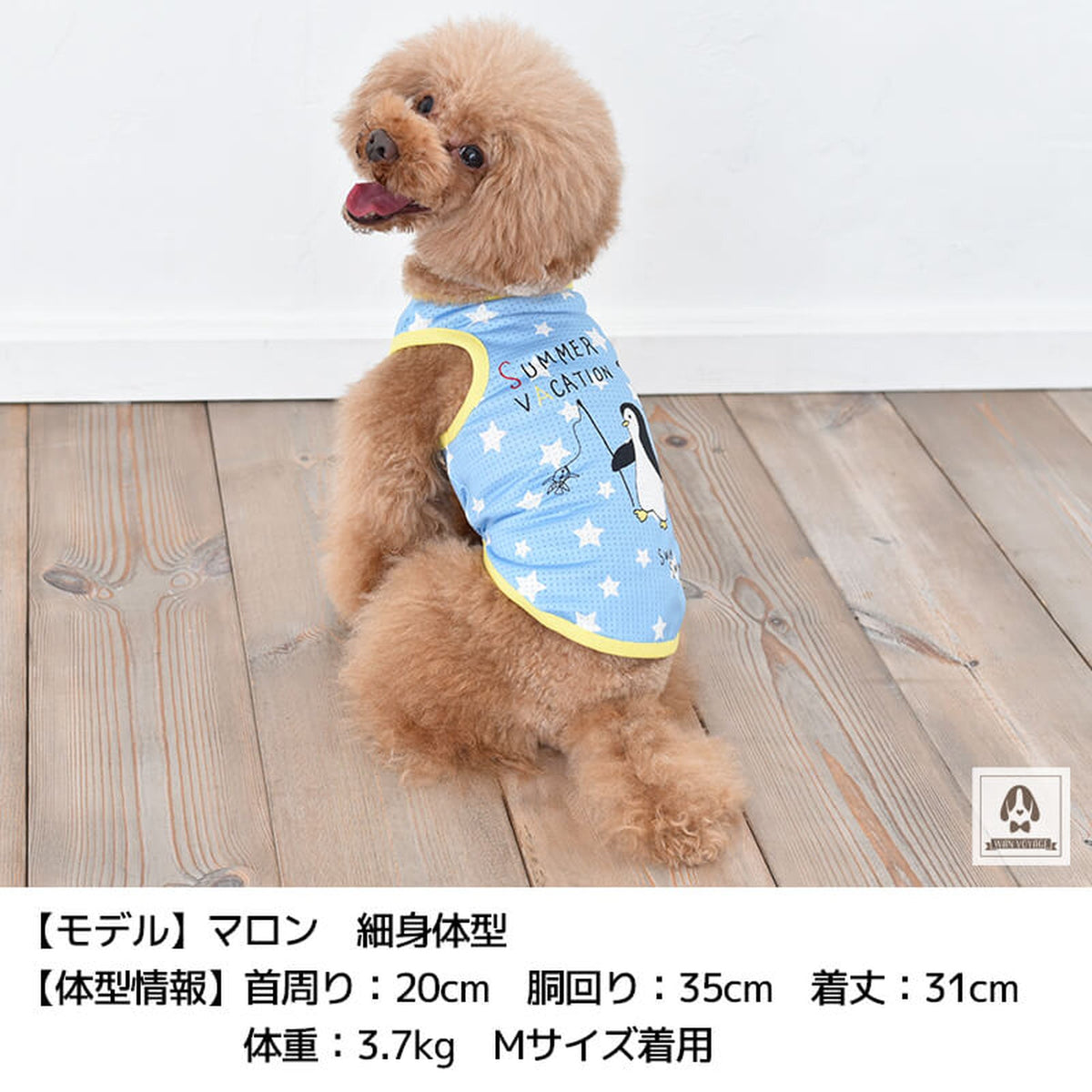 ペンギンプリントタンク S/M/L/XL Dulce-ドゥルチェ- 犬服 ドッグウェア トイプードル チワワ ポメラニアン DU20SS du141007-1