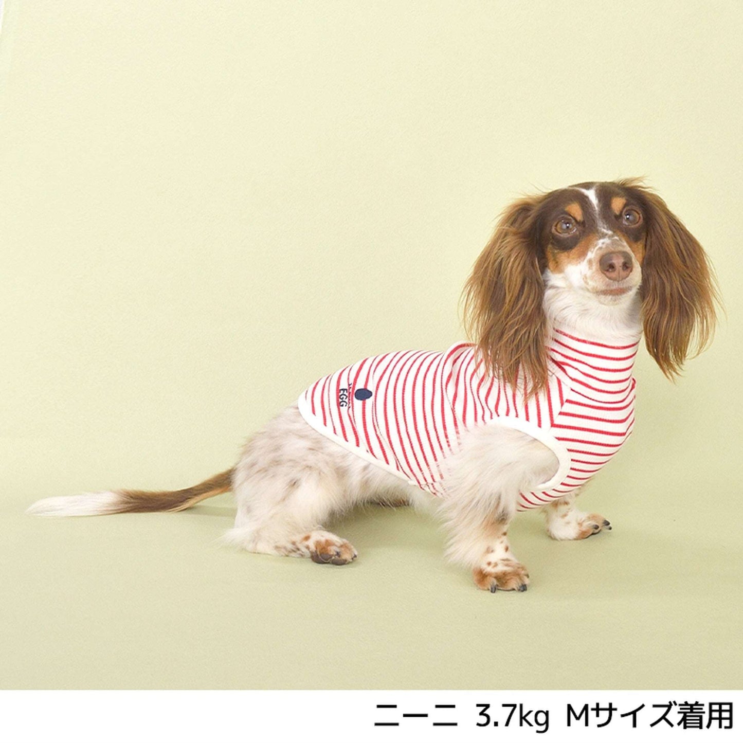 JE242 ボーダータンク XS/S/M/L/XL Jekyll Egg-ジキルエッグ- 犬服 ドッグウェア トイプードル チワワ ポメラニアン JE21AW je151242-1