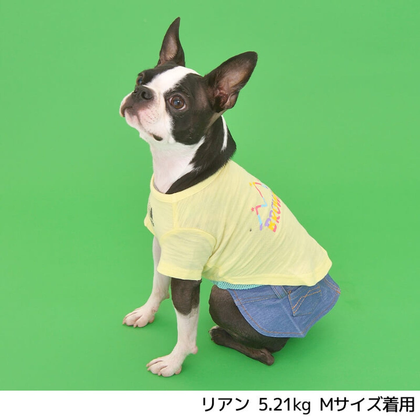 カラフルロゴTシャツ S/M/L/XL/XXL BROWNIE'S-ブラウニーズ- 犬服 ドッグウェア トイプードル チワワ ポメラニアン BR22SS br161670-1