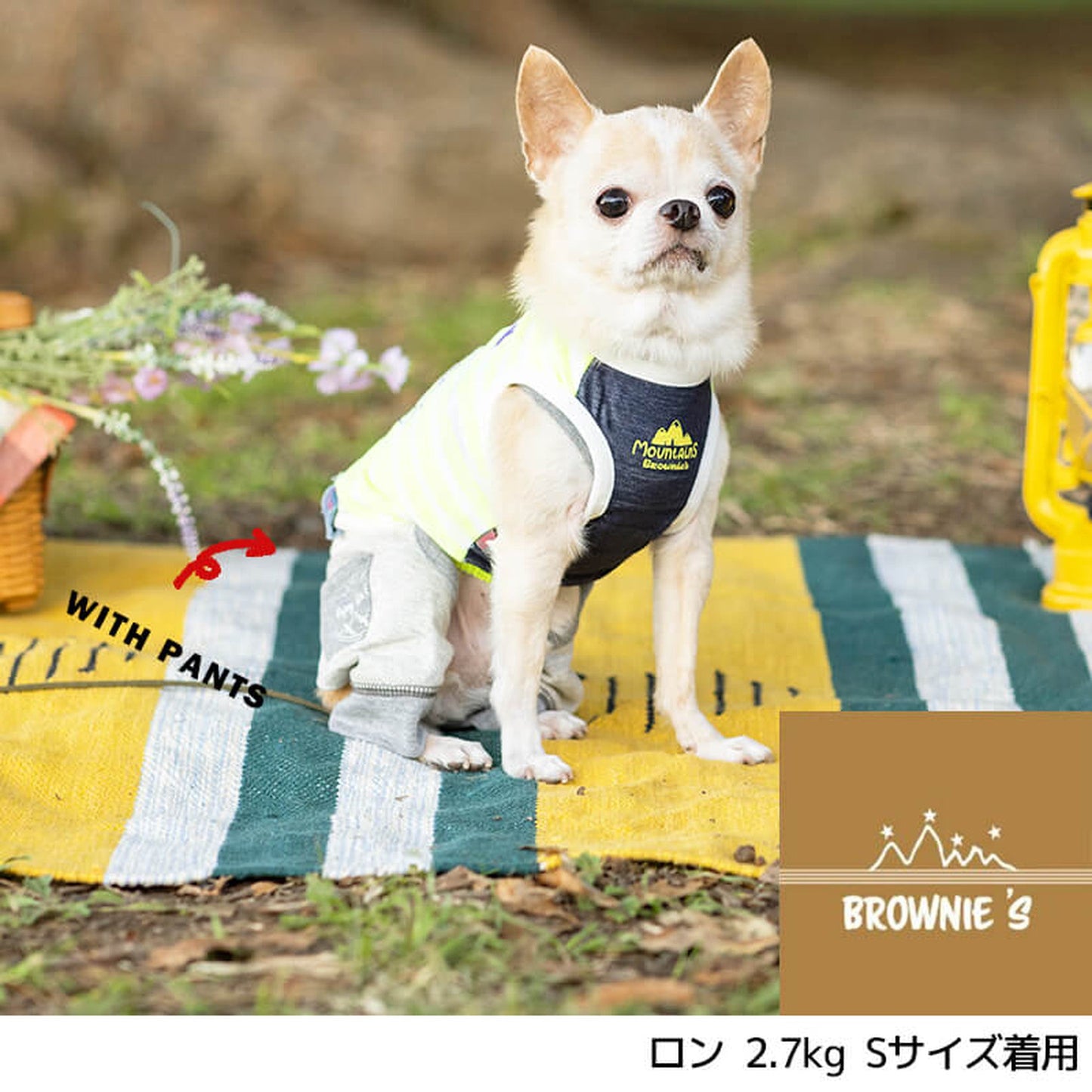 シロクマさんとカヌータンク S/M/L/XL/XXL BROWNIE'S-ブラウニーズ- 犬服 ドッグウェア トイプードル チワワ ポメラニアン BR22SS br161672-1