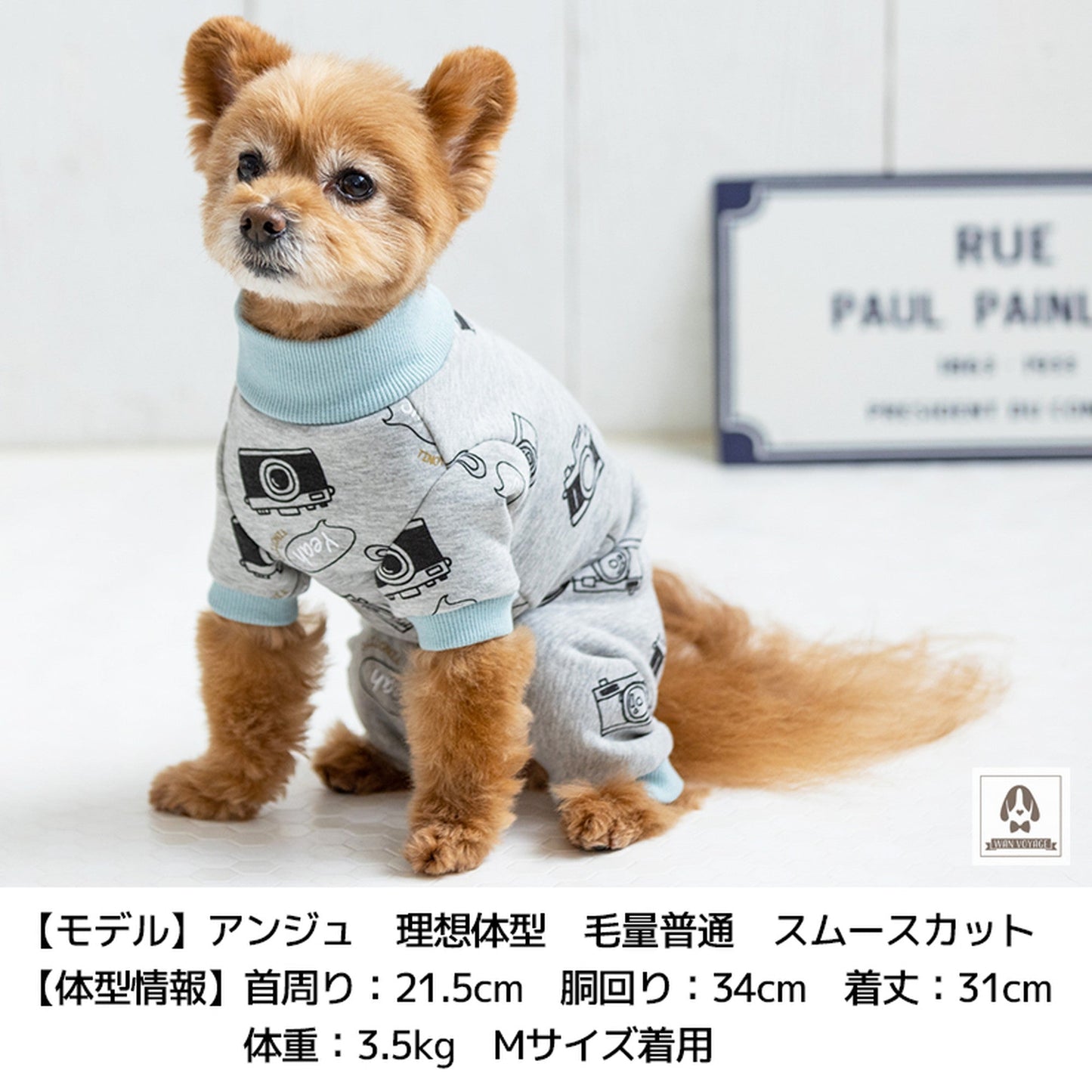 カメラ柄オールインワン XS/S TINOTITO -ティノティート- 犬服 ドッグウェア トイプードル チワワ ポメラニアン TT21AW tt153234-1