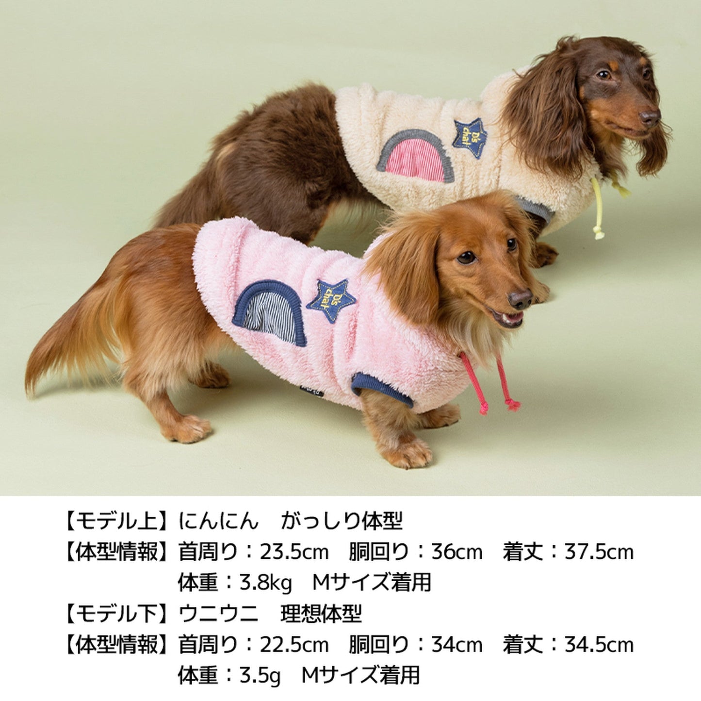 ポケットボーダーパーカ XL/XXL/DS/DM D's Chat-ディーズチャット- 犬服 ドッグウェア トイプードル チワワ ポメラニアン DS21AW ds152104-2