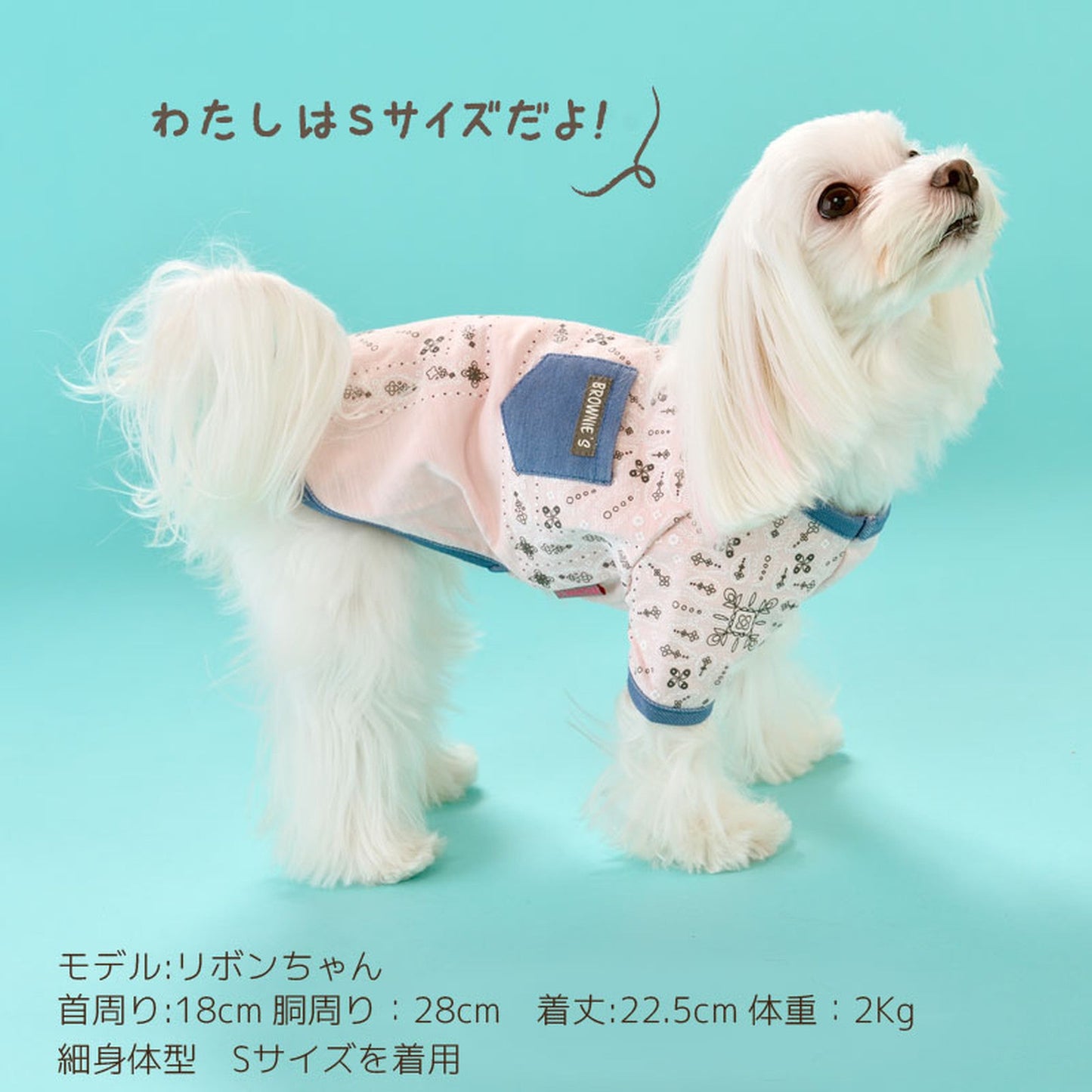 バンダナTシャツ 犬服 ドッグウェア S/M/L/XL/XXL ワンボヤージュ ブラウニーズ トイプードル チワワ ダックス br131542-1