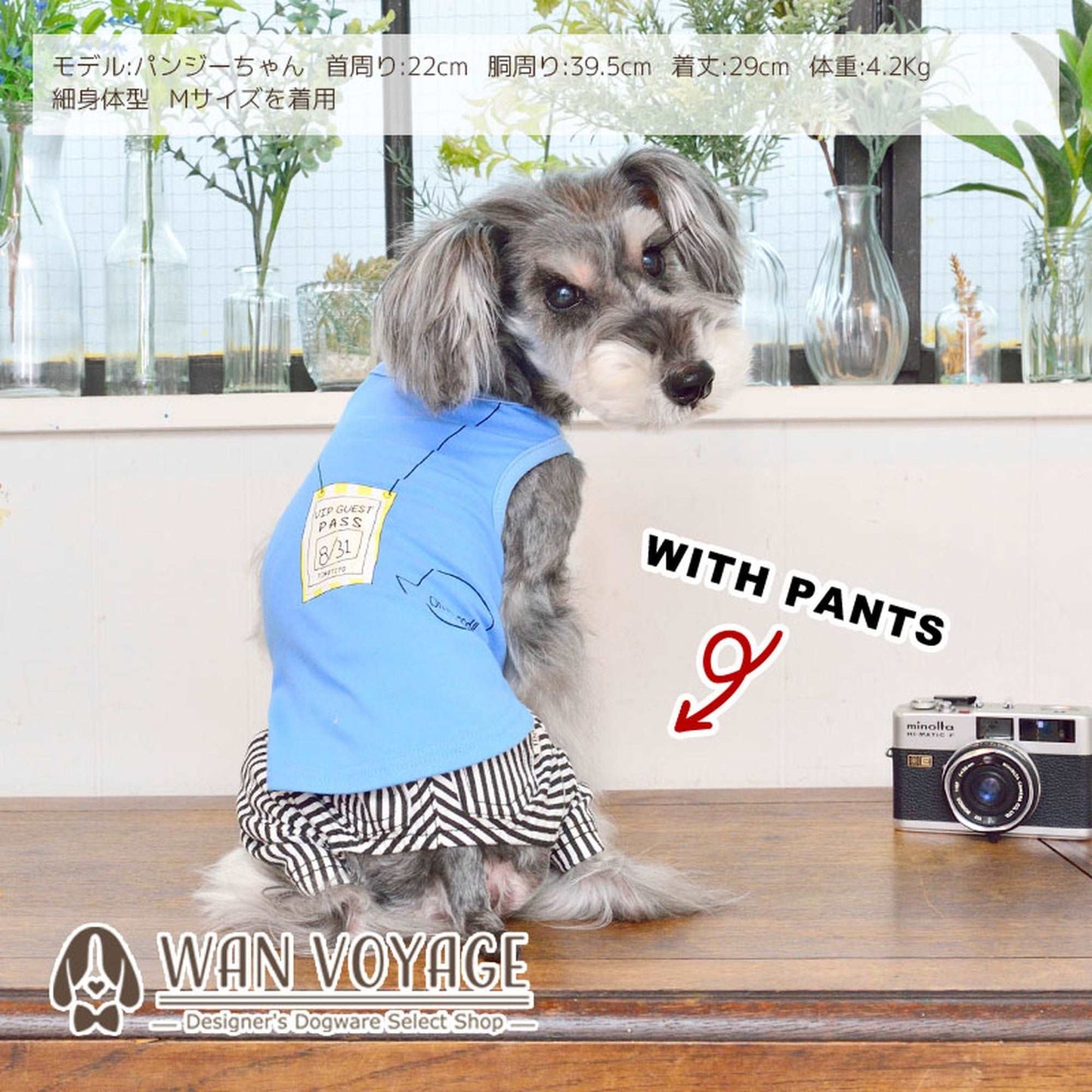 VIPカードタンクトップ 犬服 ドッグウェア XS/S ワンボヤージュ TINOTITO ティノティート トイプードル チワワ ダックス tt141173-1