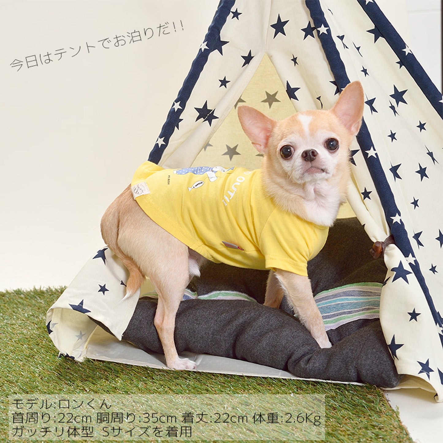 釣りするシロクマTシャツ 犬服 ドッグウェア S/M/L/XL/XXL ワンボヤージュ ブラウニーズ トイプードル チワワ ダックス br121520-1