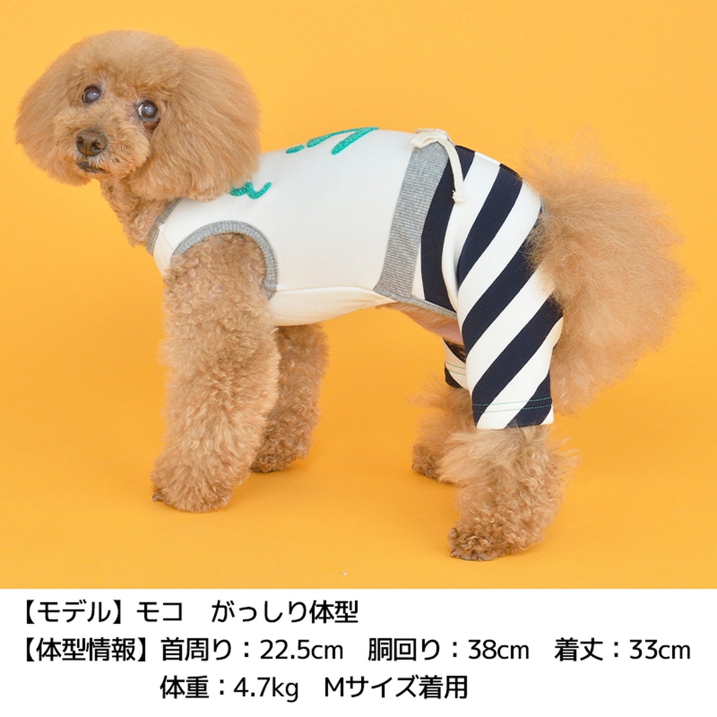 ディーズ君しましまつなぎ XS/S/M/L/XL/DS/DM D's Chat-ディーズチャット- 犬服 ドッグウェア トイプードル チワワ ポメラニアン DS21AW ds153117-1