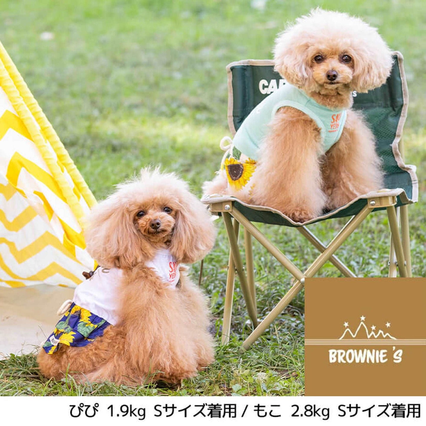 ひまわり柄ロンパース S/M/L/XL/XXL BROWNIE'S-ブラウニーズ- 犬服 ドッグウェア トイプードル チワワ ポメラニアン BR22SS br163675-1