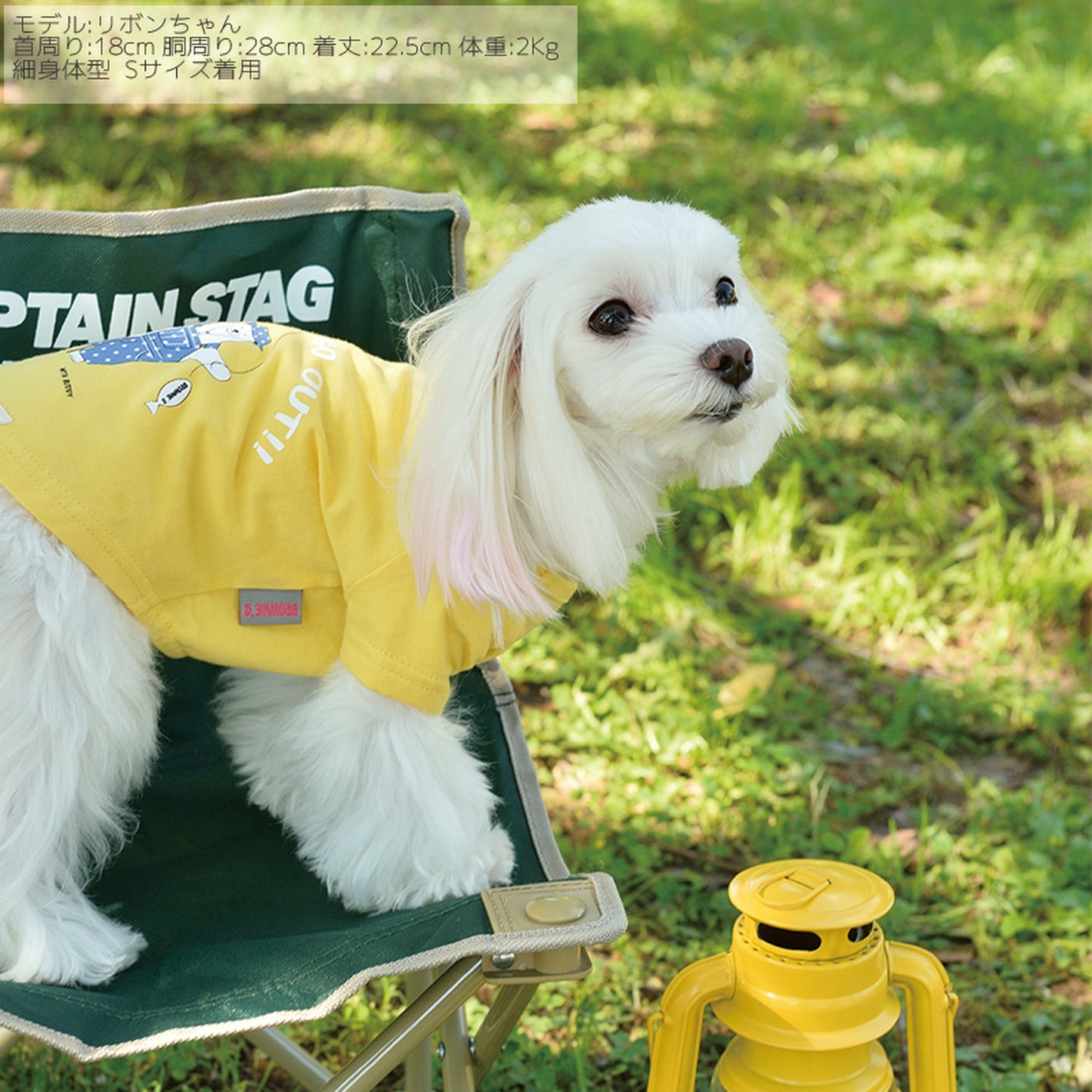 釣りするシロクマTシャツ 犬服 ドッグウェア S/M/L/XL/XXL ワンボヤージュ ブラウニーズ トイプードル チワワ ダックス br121520-1