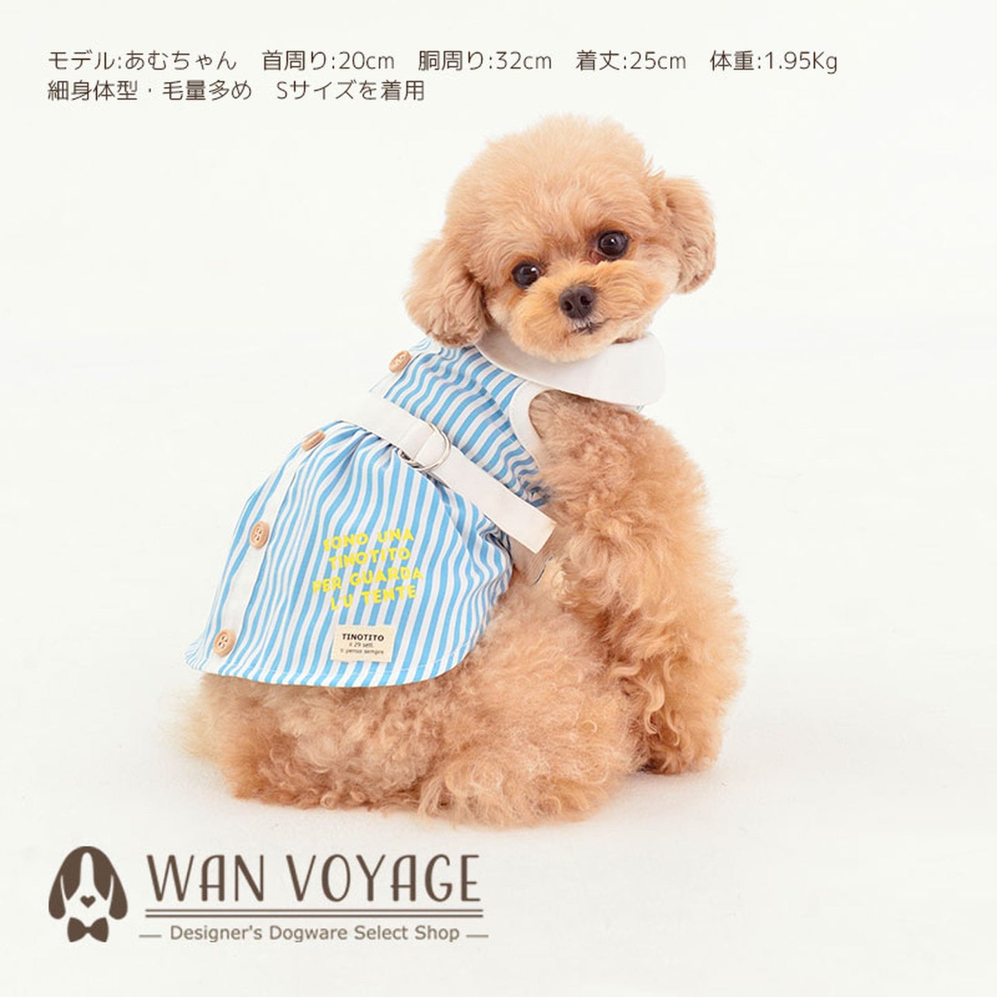 丸衿ストライプワンピース 犬服 ドッグウェア XS/S/M/L/XL/XXL ワンボヤージュ TINOTITO ティノティート トイプードル チワワ ダックス tt144176-1