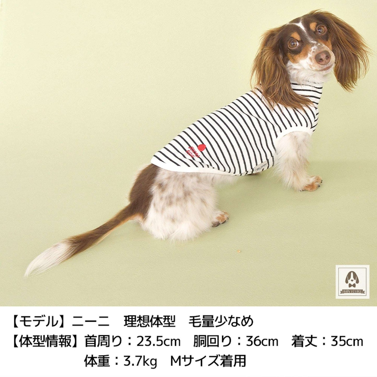 JE242 ボーダータンク XS/S/M/L/XL Jekyll Egg-ジキルエッグ- 犬服 ドッグウェア トイプードル チワワ ポメラニアン JE21AW je151242-1
