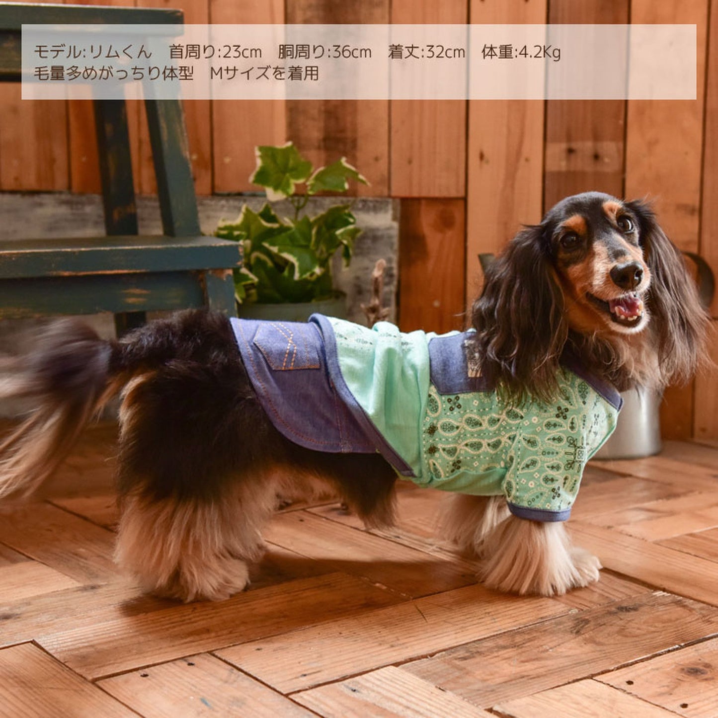 バンダナTシャツ 犬服 ドッグウェア S/M/L/XL/XXL ワンボヤージュ ブラウニーズ トイプードル チワワ ダックス br131542-1