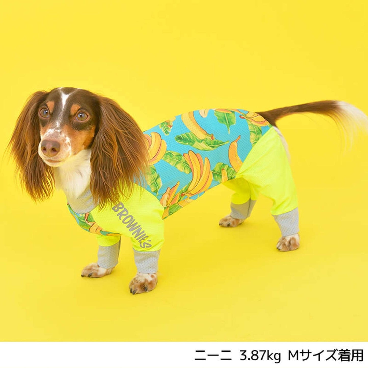 【2022年モデル】メッシュアクロン S/M/L/XL/XXL/DXS/DS/DM BROWNIE'S-ブラウニーズ- 犬服 ドッグウェア トイプードル チワワ ポメラニアン BR22SS br163681-1