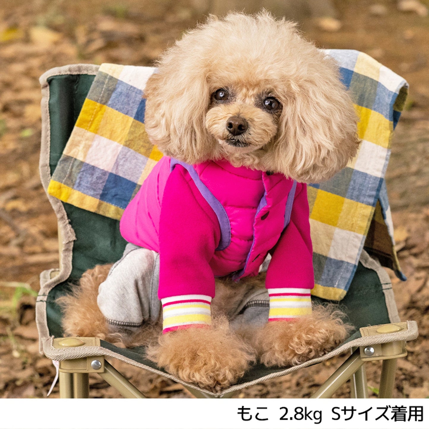 ポーチ付き中綿コート S/M/L/XL/XXL BROWNIE'S-ブラウニーズ- 犬服 ドッグウェア トイプードル チワワ ポメラニアン BR21AW br152651-1