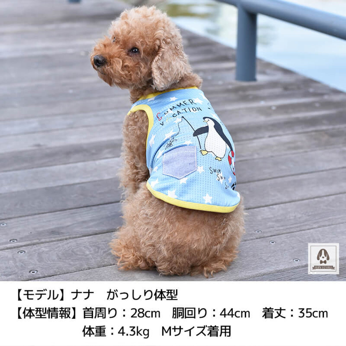 ペンギンプリントタンク S/M/L/XL Dulce-ドゥルチェ- 犬服 ドッグウェア トイプードル チワワ ポメラニアン DU20SS du141007-1