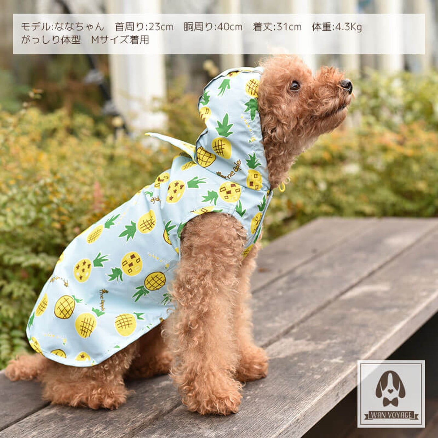 レインポンチョ 犬服 ドッグウェア S/M/L/2L(XL)/3L(XXL) ワンボヤージュ Solgra ソルグラ トイプードル チワワ ダックス 雨の日 so142012-1