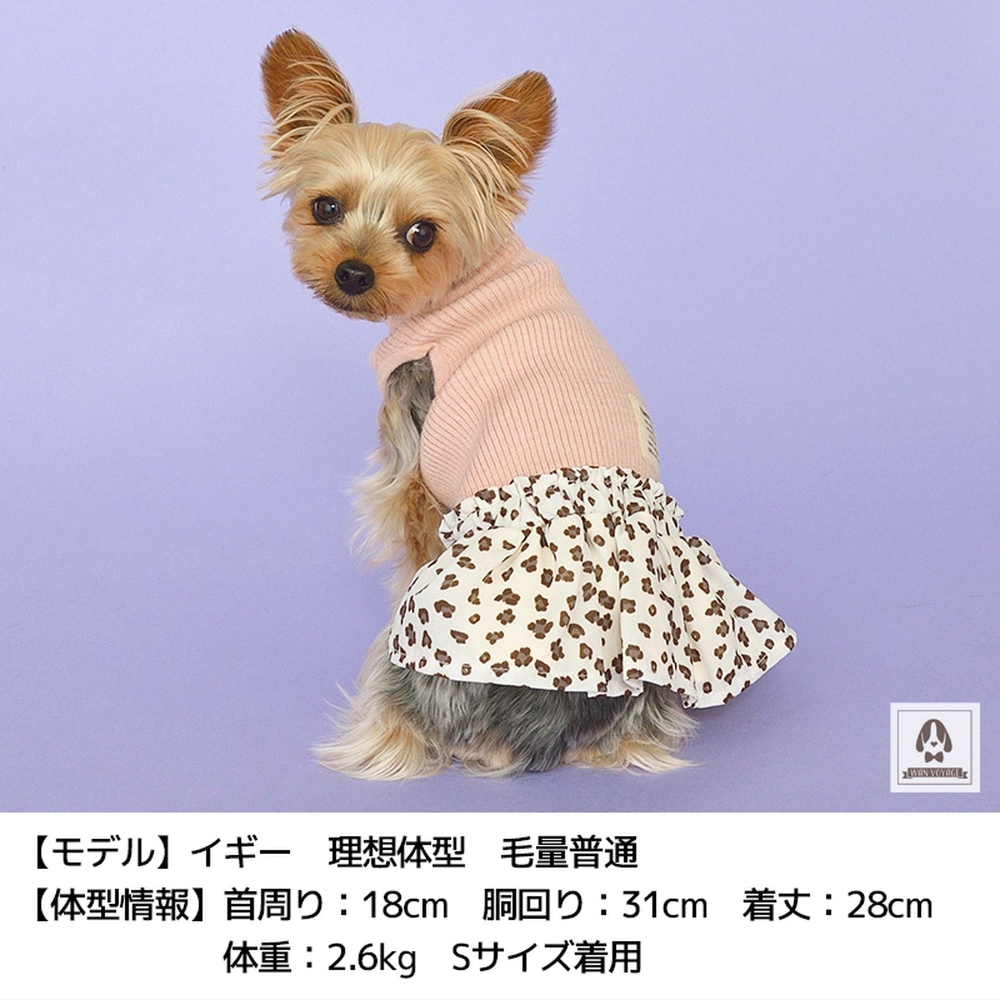 ヒョウ柄ギャザーワンピ XS/SM/L/XL/XXL TINOTITO -ティノティート- 犬服 ドッグウェア トイプードル チワワ ポメラニアン TT21AW tt154235-1