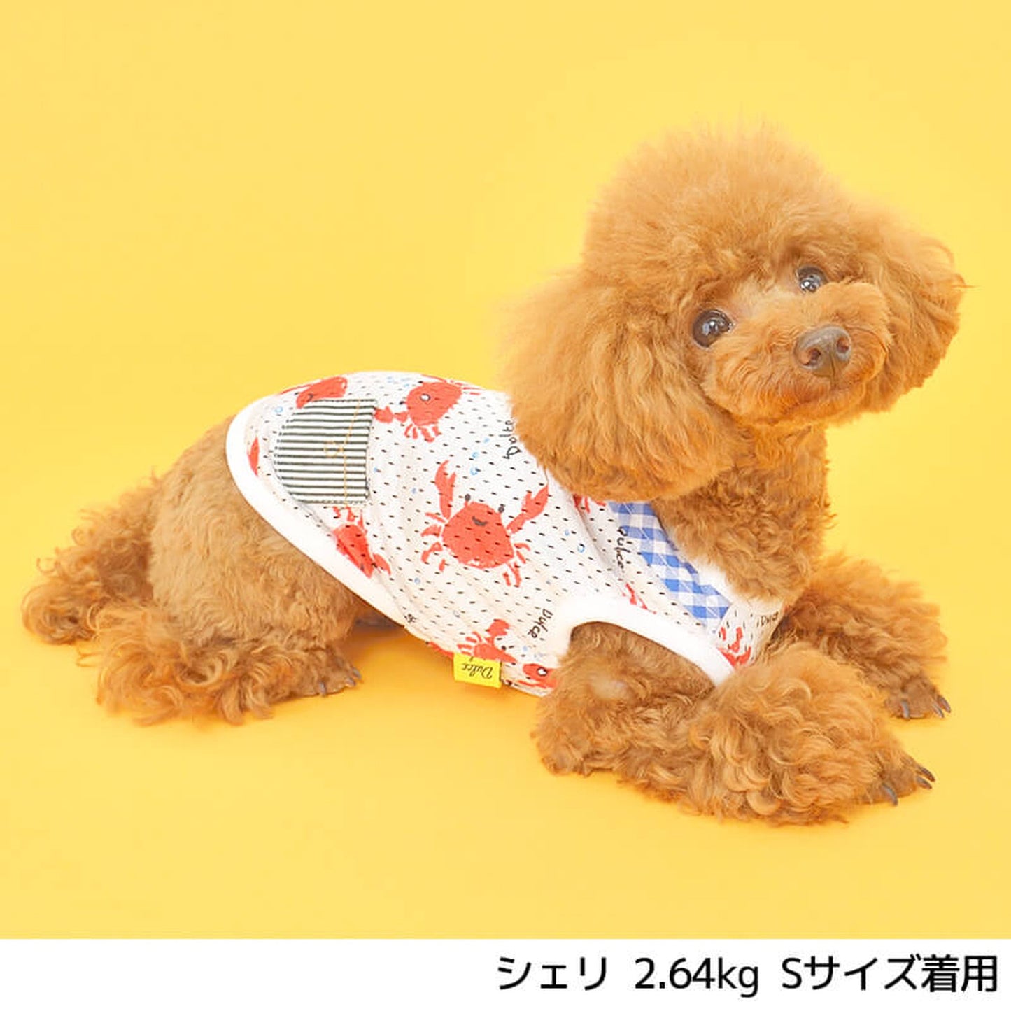 カニメッシュタンク S/M/L/XL Dulce-ドゥルチェ- 犬服 ドッグウェア トイプードル チワワ ポメラニアン DU22SS du161062-1