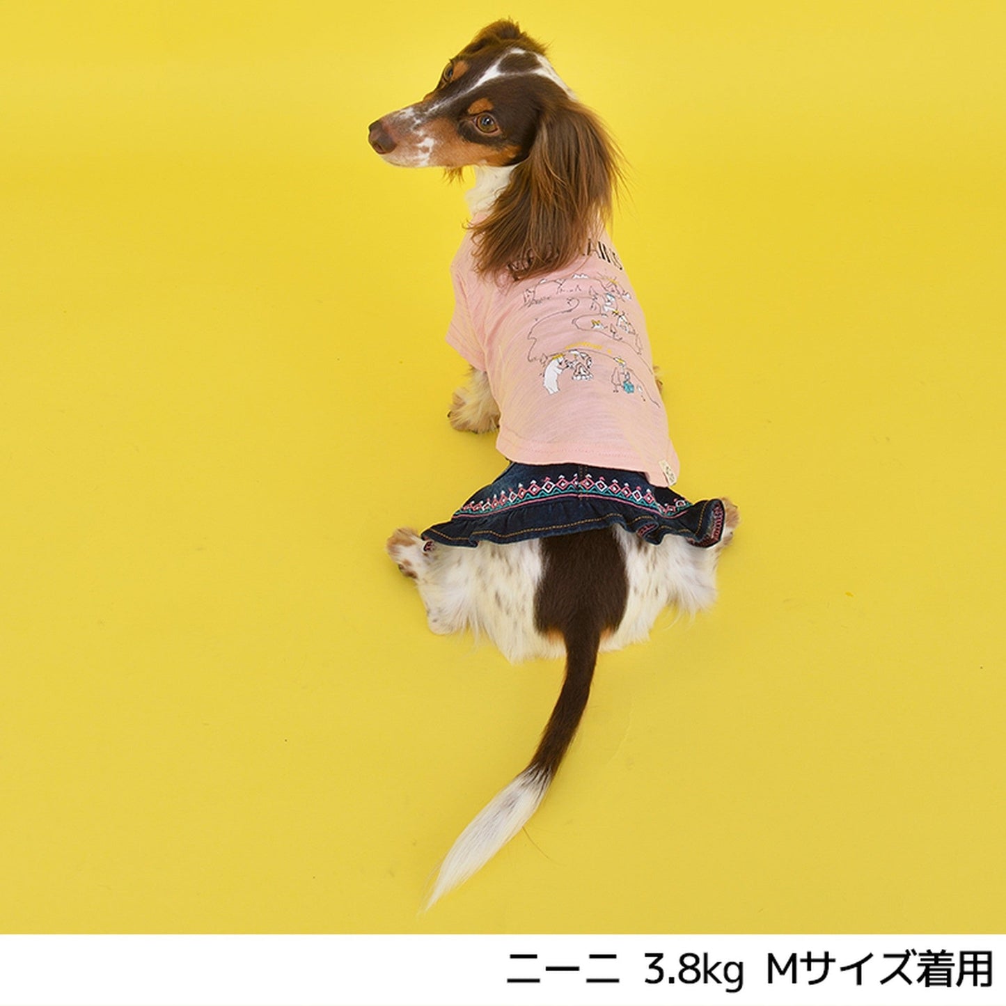 川でキャンプTシャツ S/M/L/2L/3L BROWNIE'S-ブラウニーズ- 犬服 ドッグウェア トイプードル チワワ ポメラニアン br151621-1 BR21SS