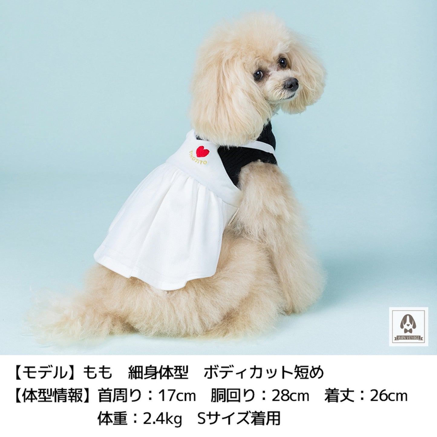 アンサンブル風ワンピ XS/S/M/L/XL/XXL TINOTITO -ティノティート- 犬服 ドッグウェア トイプードル チワワ ポメラニアン TT21AW tt154237-1