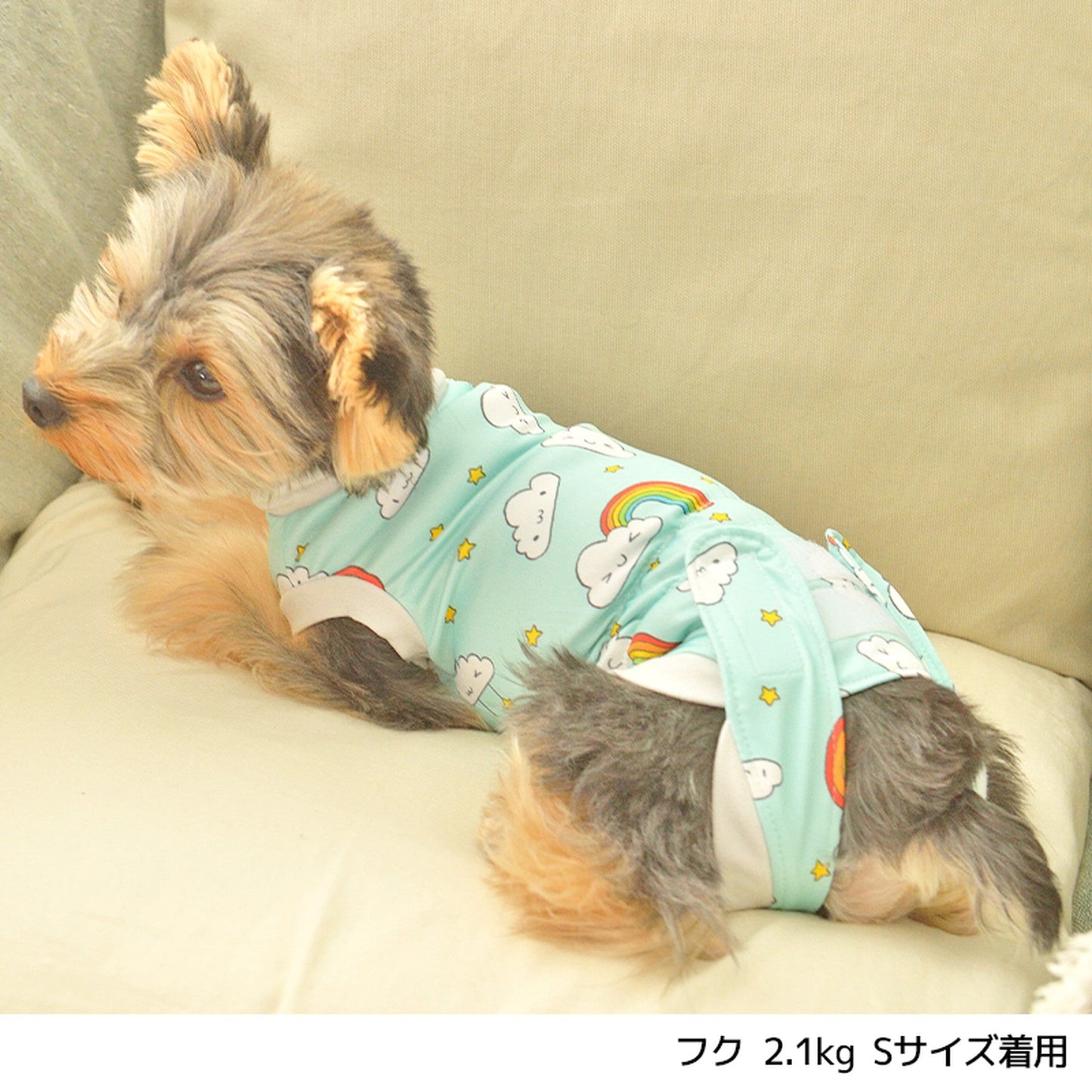 術後のケアウェア ワンちゃん用 XS/S/M/L Solgra-ソルグラ- 犬用 犬服 ドッグウェア ペット用 手術後服 皮膚保護服 トイプードル チワワ ポメラニアン SO21AW so153120-1