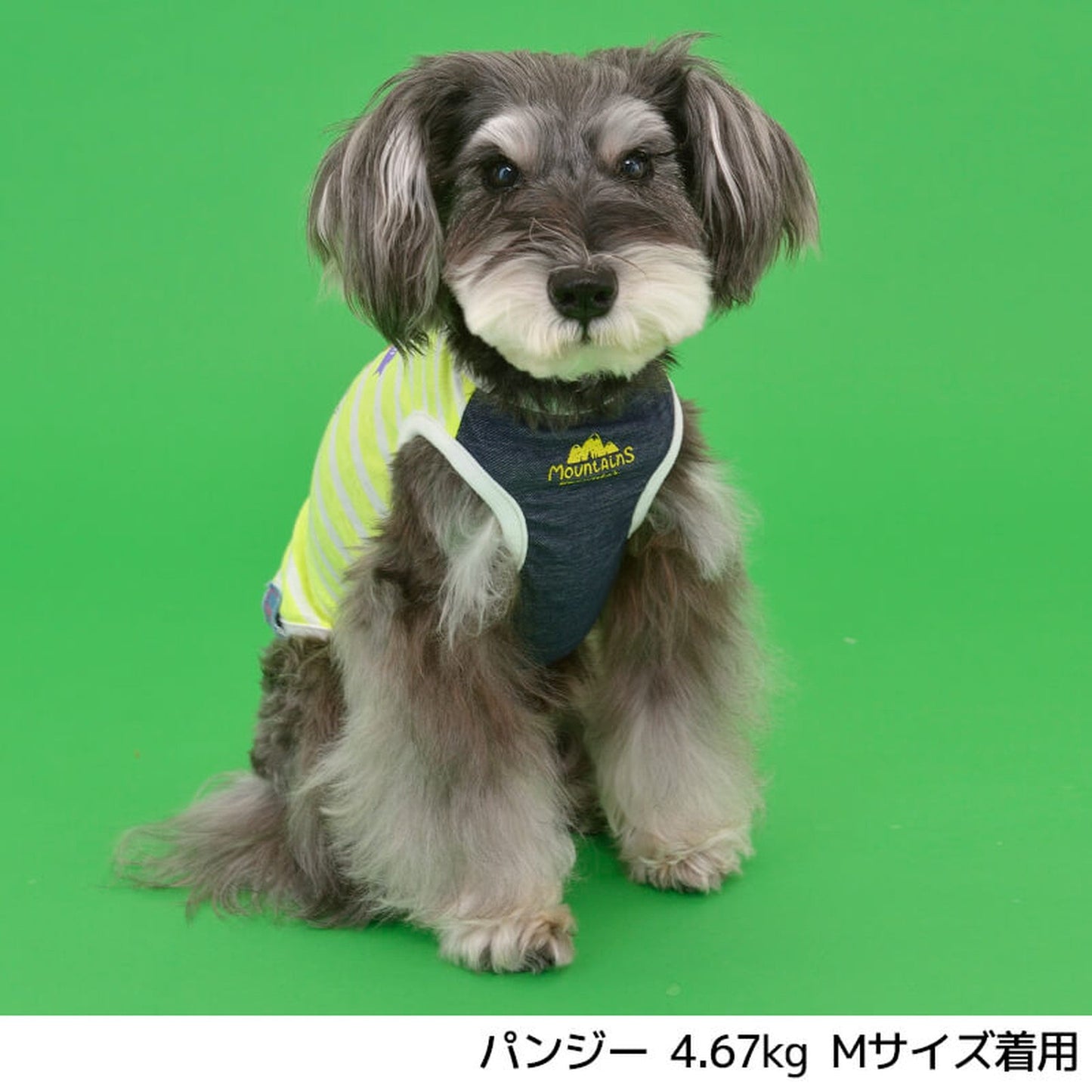 シロクマさんとカヌータンク S/M/L/XL/XXL BROWNIE'S-ブラウニーズ- 犬服 ドッグウェア トイプードル チワワ ポメラニアン BR22SS br161672-1