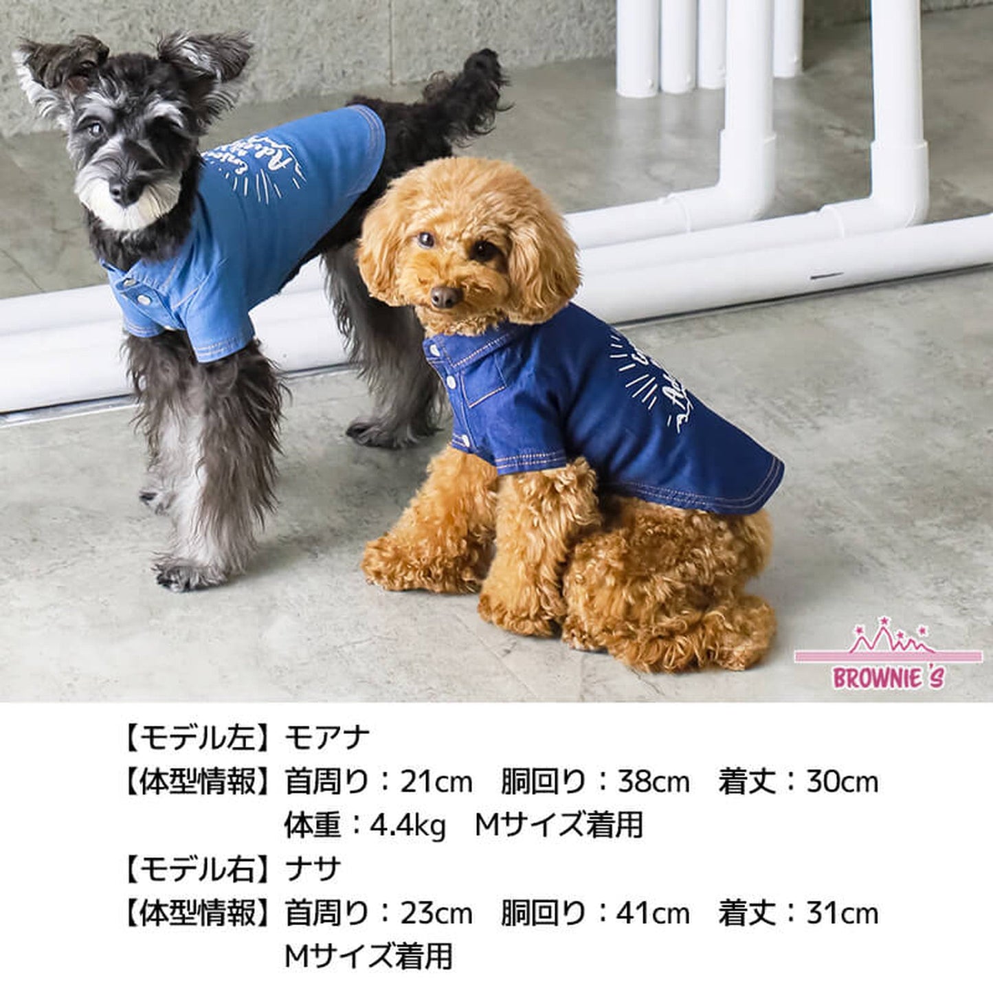 マウンテンデニムシャツ S/M/L/XL/XXL BROWNIE'S-ブラウニーズ- 犬服 ドッグウェア トイプードル チワワ ポメラニアン BR22SS br162684-1