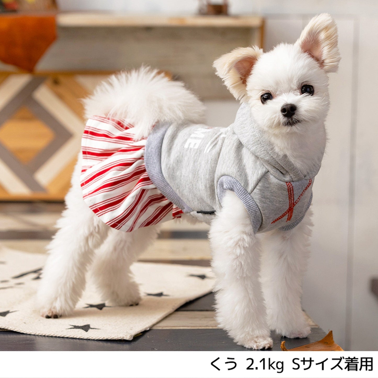 ストライプスカートワンピ XL D's Chat-ディーズチャット- 犬服 ドッグウェア トイプードル チワワ ポメラニアン DS21AW ds154108-2