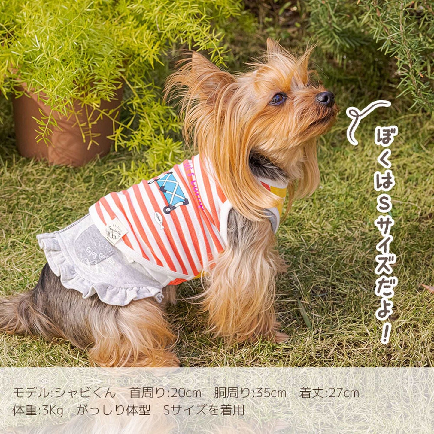 しろくまさんとキャリータンクトップ 犬服 ドッグウェア S/M/L/2L(XL)/3L(XXL) ワンボヤージュ ブラウニーズ トイプードル チワワ ダックス br141572-1
