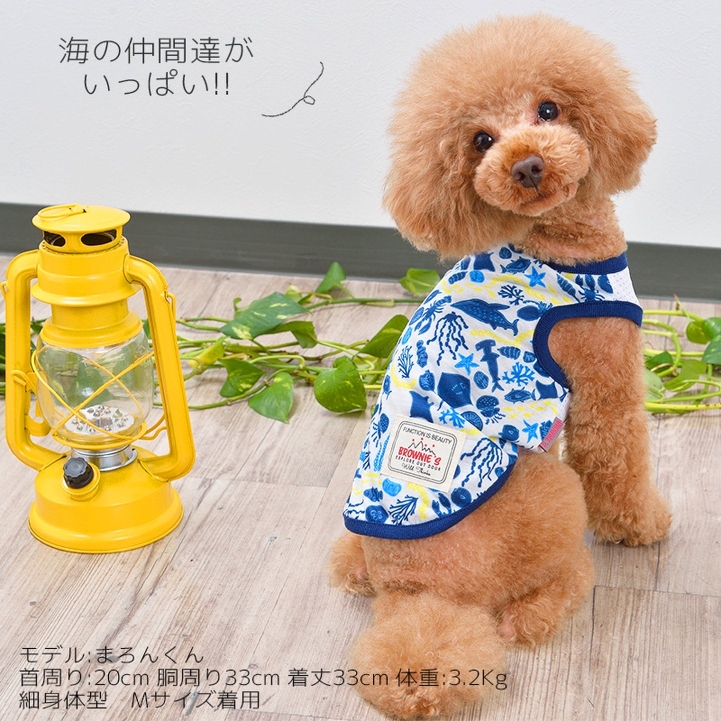 マンボウと海の仲間たちタンク 犬服 ドッグウェア S/M/L/XL/XXL ワンボヤージュ ブラウニーズ トイプードル チワワ ダックス br121522-1