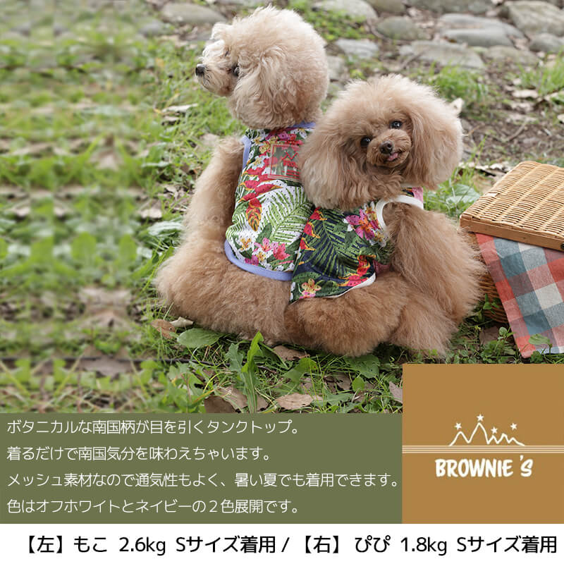 メッシュ南国柄タンク S/M/L/2L/3L BROWNIE'S-ブラウニーズ- 犬服 ドッグウェア トイプードル チワワ ポメラニアン br151607-1 BR21SS