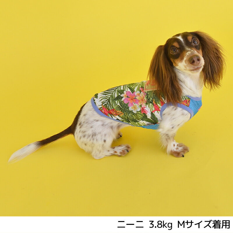 メッシュ南国柄タンク S/M/L/2L/3L BROWNIE'S-ブラウニーズ- 犬服 ドッグウェア トイプードル チワワ ポメラニアン br151607-1 BR21SS