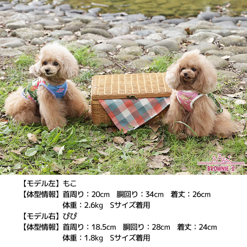 メッシュ南国柄タンク S/M/L/2L/3L BROWNIE'S-ブラウニーズ- 犬服 ドッグウェア トイプードル チワワ ポメラニアン br151607-1 BR21SS