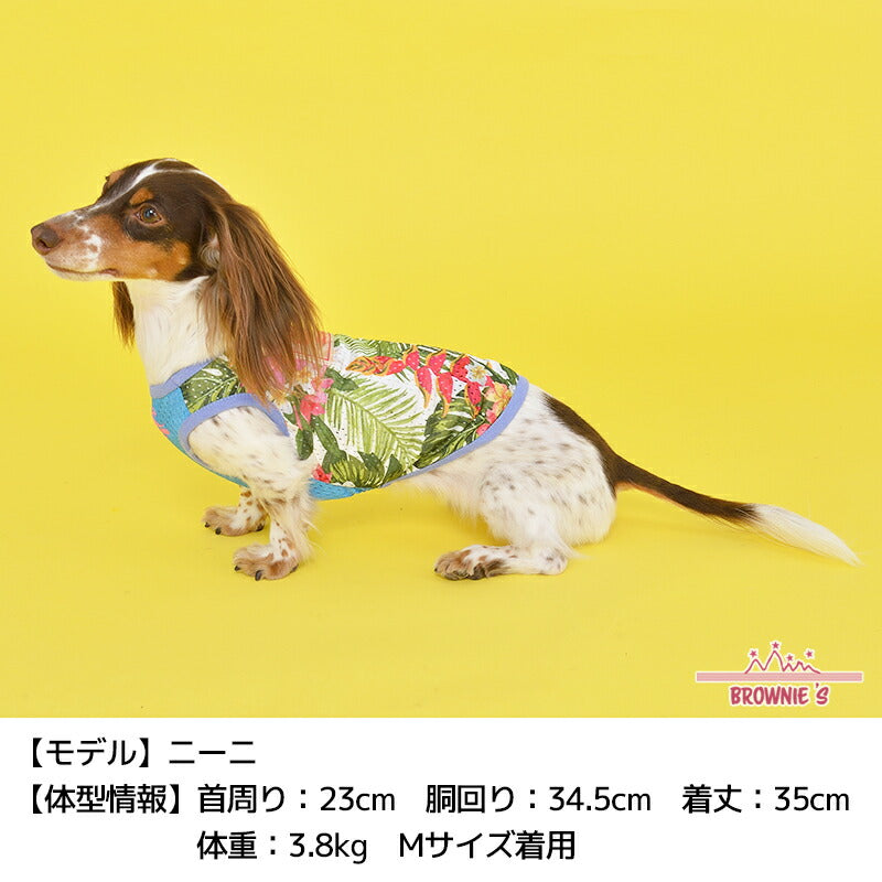 メッシュ南国柄タンク S/M/L/2L/3L BROWNIE'S-ブラウニーズ- 犬服 ドッグウェア トイプードル チワワ ポメラニアン br151607-1 BR21SS