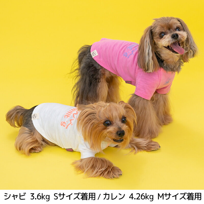 蓄光ロゴTシャツ S/M/L/XL/XXL BROWNIE'S-ブラウニーズ- 犬服 ドッグウェア トイプードル チワワ ポメラニアン BR23SS br231727-1