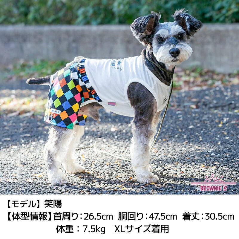 カラフルブロックつなぎ S/M/L/XL/XXL BROWNIE'S-ブラウニーズ- 犬服 ドッグウェア 小型犬 BR24SS br241762-1