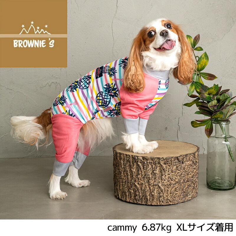 カラフルボーダーメッシュアクロン S/M/L/XL/XXL/DXS/DS/DM/FBS/FBM/FBL/4L/5L/6L/OS/OM/OL BROWNIE'S-ブラウニーズ- 犬服 ドッグウェア 小型犬 ダックス フレブル 中大型犬 BR24SS br241763-1
