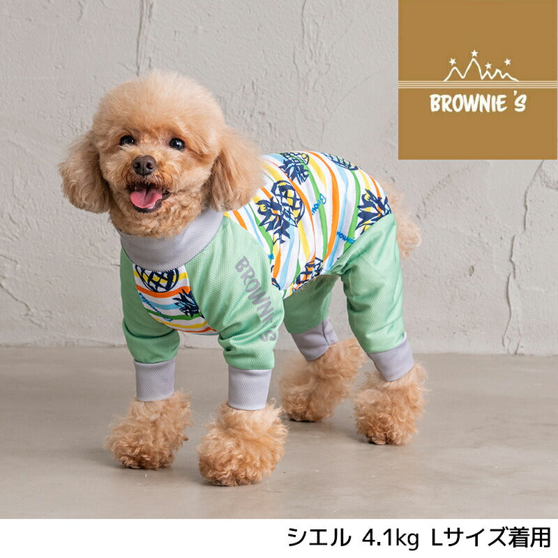 カラフルボーダーメッシュアクロン S/M/L/XL/XXL/DXS/DS/DM/FBS/FBM/FBL/4L/5L/6L/OS/OM/OL BROWNIE'S-ブラウニーズ- 犬服 ドッグウェア 小型犬 ダックス フレブル 中大型犬 BR24SS br241763-1