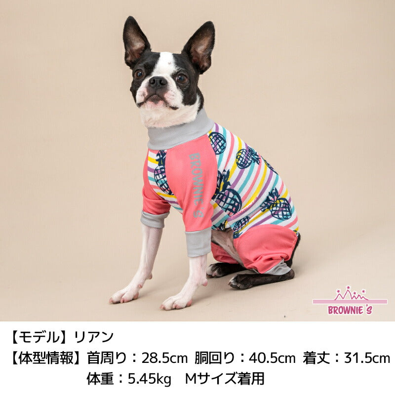 カラフルボーダーメッシュアクロン S/M/L/XL/XXL/DXS/DS/DM/FBS/FBM/FBL/4L/5L/6L/OS/OM/OL BROWNIE'S-ブラウニーズ- 犬服 ドッグウェア 小型犬 ダックス フレブル 中大型犬 BR24SS br241763-1