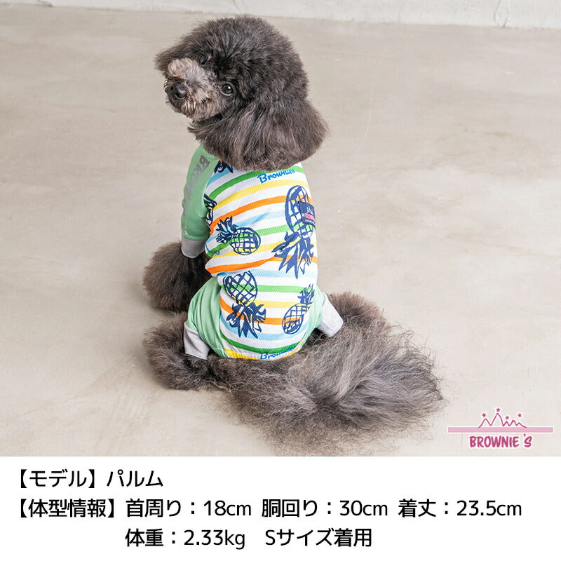 カラフルボーダーメッシュアクロン S/M/L/XL/XXL/DXS/DS/DM/FBS/FBM/FBL/4L/5L/6L/OS/OM/OL BROWNIE'S-ブラウニーズ- 犬服 ドッグウェア 小型犬 ダックス フレブル 中大型犬 BR24SS br241763-1