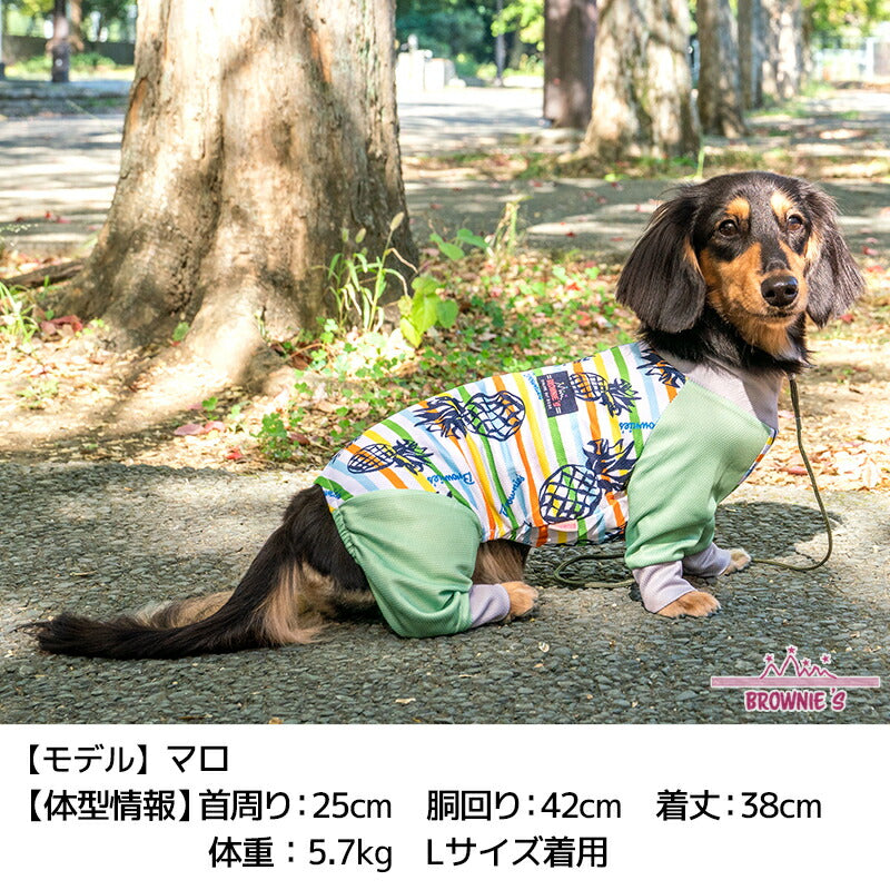 カラフルボーダーメッシュアクロン S/M/L/XL/XXL/DXS/DS/DM/FBS/FBM/FBL/4L/5L/6L/OS/OM/OL BROWNIE'S-ブラウニーズ- 犬服 ドッグウェア 小型犬 ダックス フレブル 中大型犬 BR24SS br241763-1