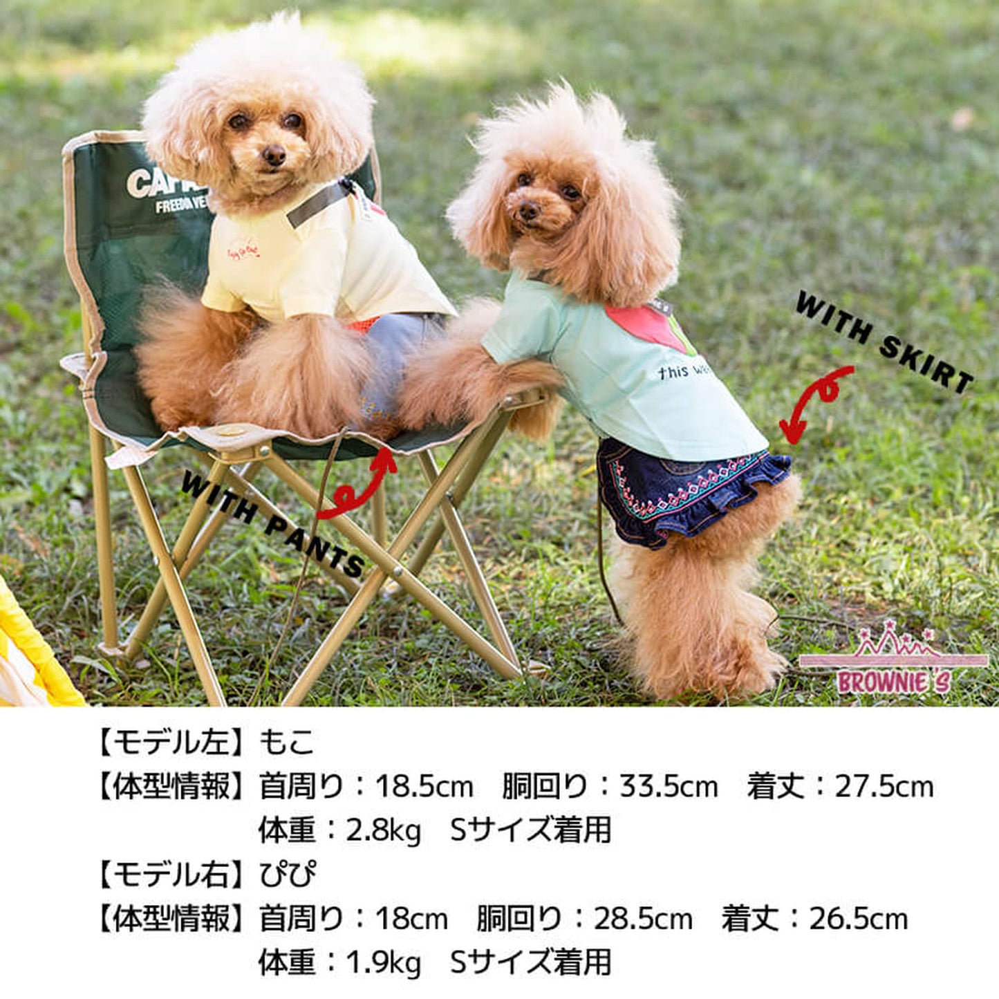カラフルバッグTシャツ S/M/L/XL/XXL BROWNIE'S-ブラウニーズ- 犬服 ドッグウェア トイプードル チワワ ポメラニアン BR22SS br161674-1