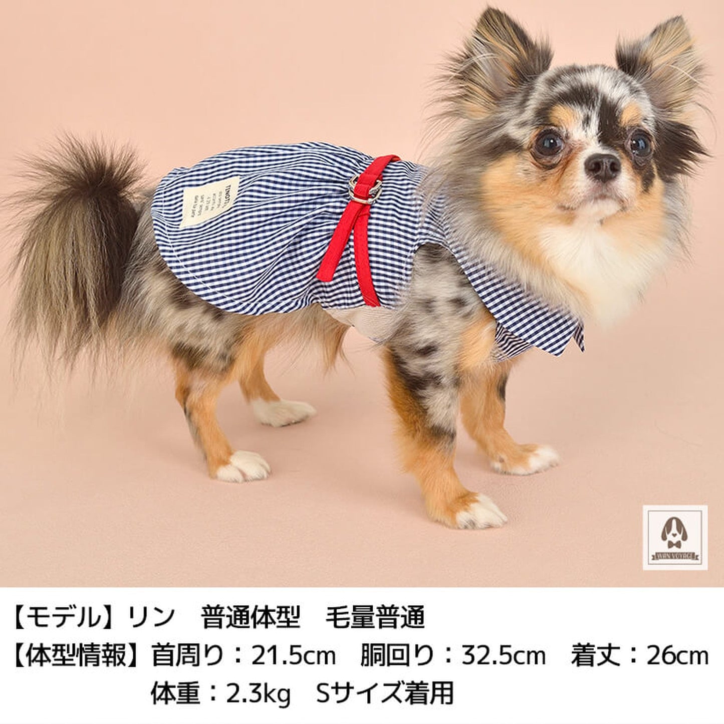 フラップ衿ワンピ XS/S/M/L/XL/XXL TINOTITO-ティノティート- 犬服 ドッグウェア トイプードル チワワ ポメラニアン TT21SS tt154202-1