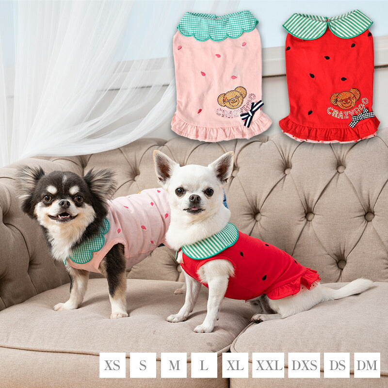 襟付きフルーツタンク XS/S/M/L/XL/XXL/DXS/DS/DM CRAZYBOO -クレイジーブー- 犬服 ドッグウェア CB24SS cb241058-1
