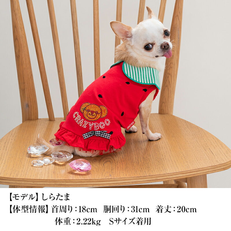 襟付きフルーツタンク XS/S/M/L/XL/XXL/DXS/DS/DM CRAZYBOO -クレイジーブー- 犬服 ドッグウェア CB24SS cb241058-1