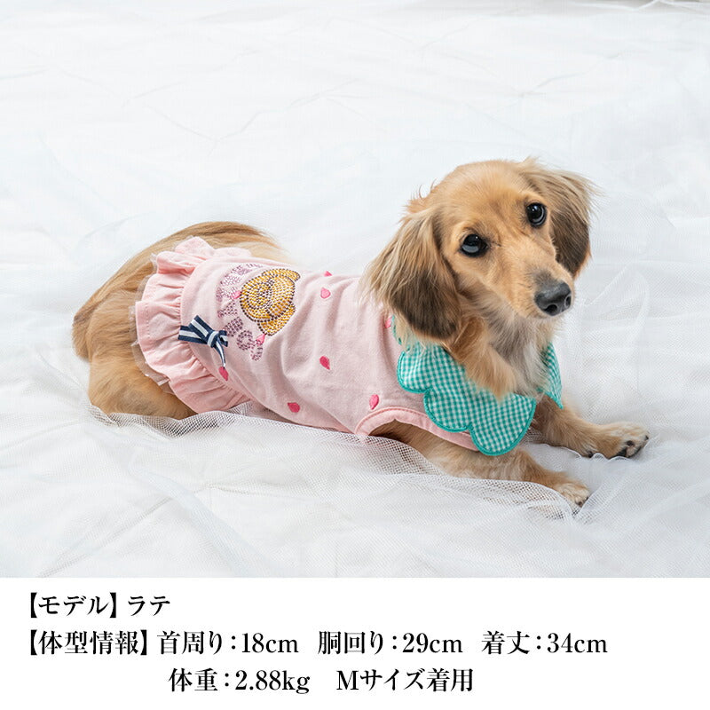 襟付きフルーツタンク XS/S/M/L/XL/XXL/DXS/DS/DM CRAZYBOO -クレイジーブー- 犬服 ドッグウェア CB24SS cb241058-1