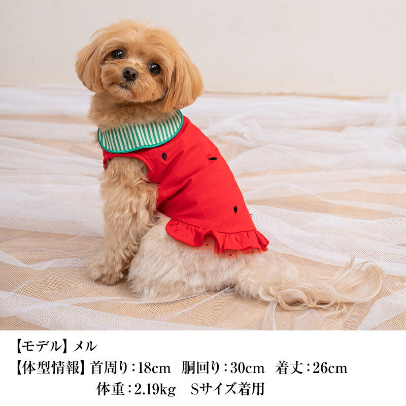 襟付きフルーツタンク XS/S/M/L/XL/XXL/DXS/DS/DM CRAZYBOO -クレイジーブー- 犬服 ドッグウェア CB24SS cb241058-1