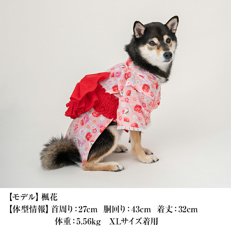 牡丹柄浴衣 XS/S/M/L/XL/XXL CRAZYBOO -クレイジーブー- 犬服 ドッグウェア CB24SS cb241072-1