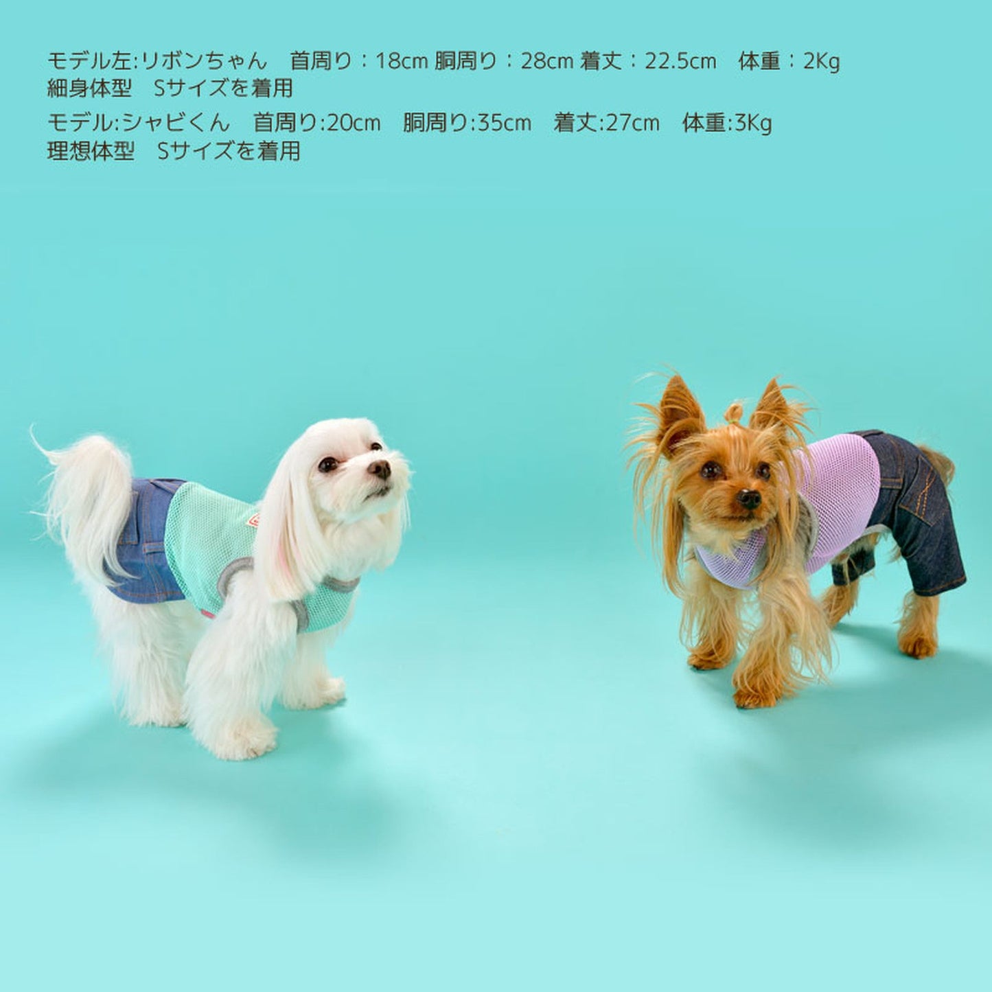 メッシュロンパース・ワンピース 犬服 ドッグウェア S/M/L/XL/XXL ワンボヤージュ ブラウニーズ トイプードル チワワ ダックス br133553-1
