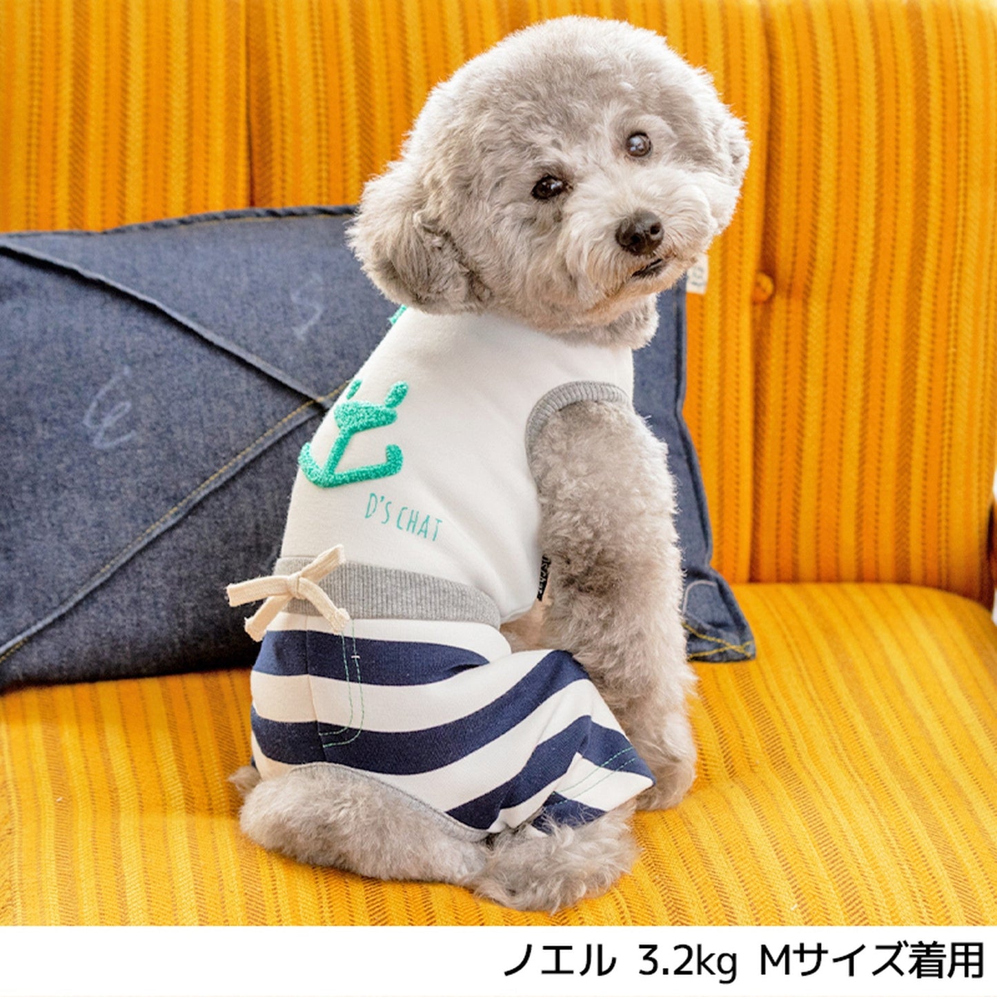 ディーズ君しましまつなぎ XS/S/M/L/XL/DS/DM D's Chat-ディーズチャット- 犬服 ドッグウェア トイプードル チワワ ポメラニアン DS21AW ds153117-1