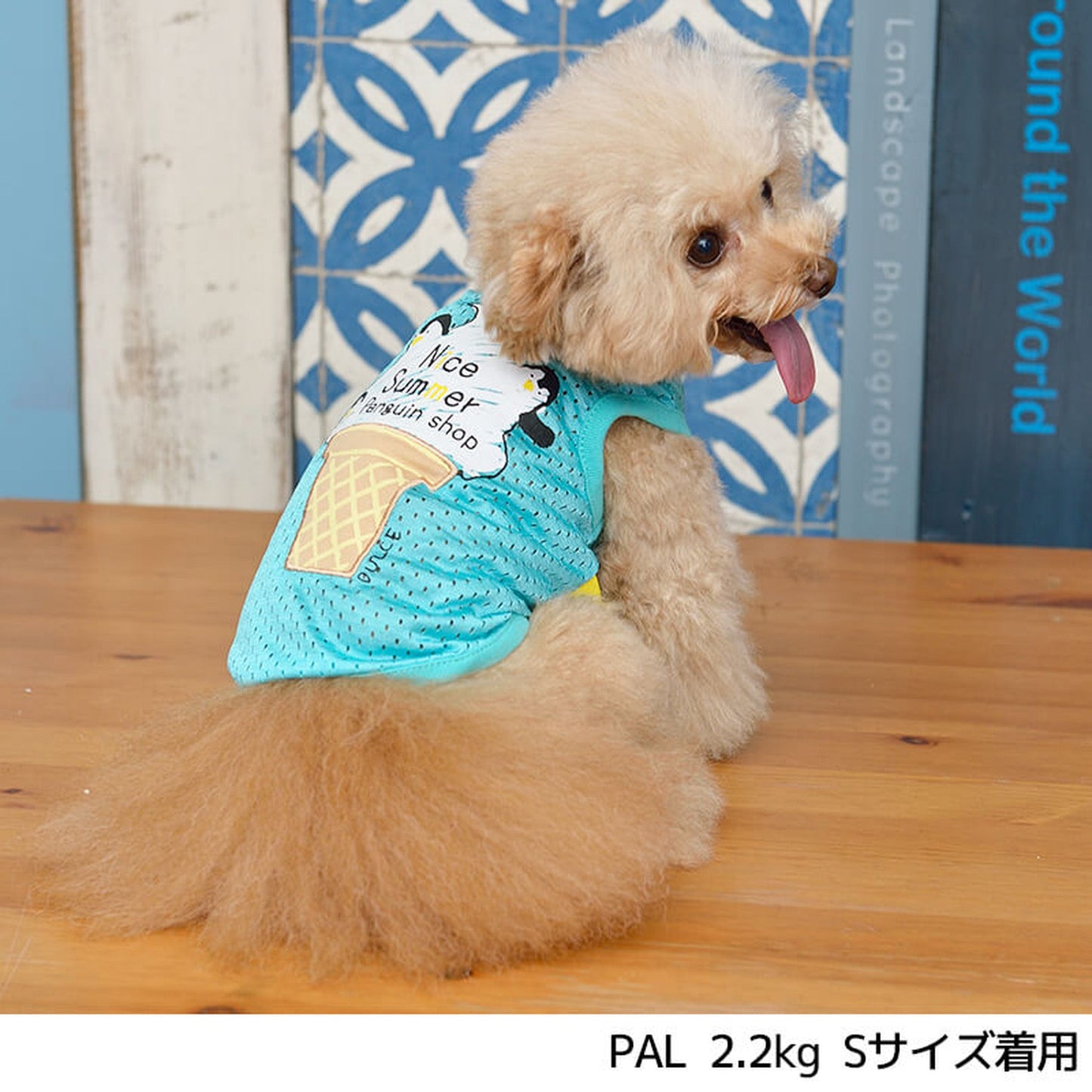 アイスメッシュタンク S/M/L/XL Dulce-ドゥルチェ- 犬服 ドッグウェア トイプードル チワワ ポメラニアン DU21SS du151031-1